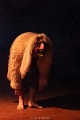 cirque le bruit_-155